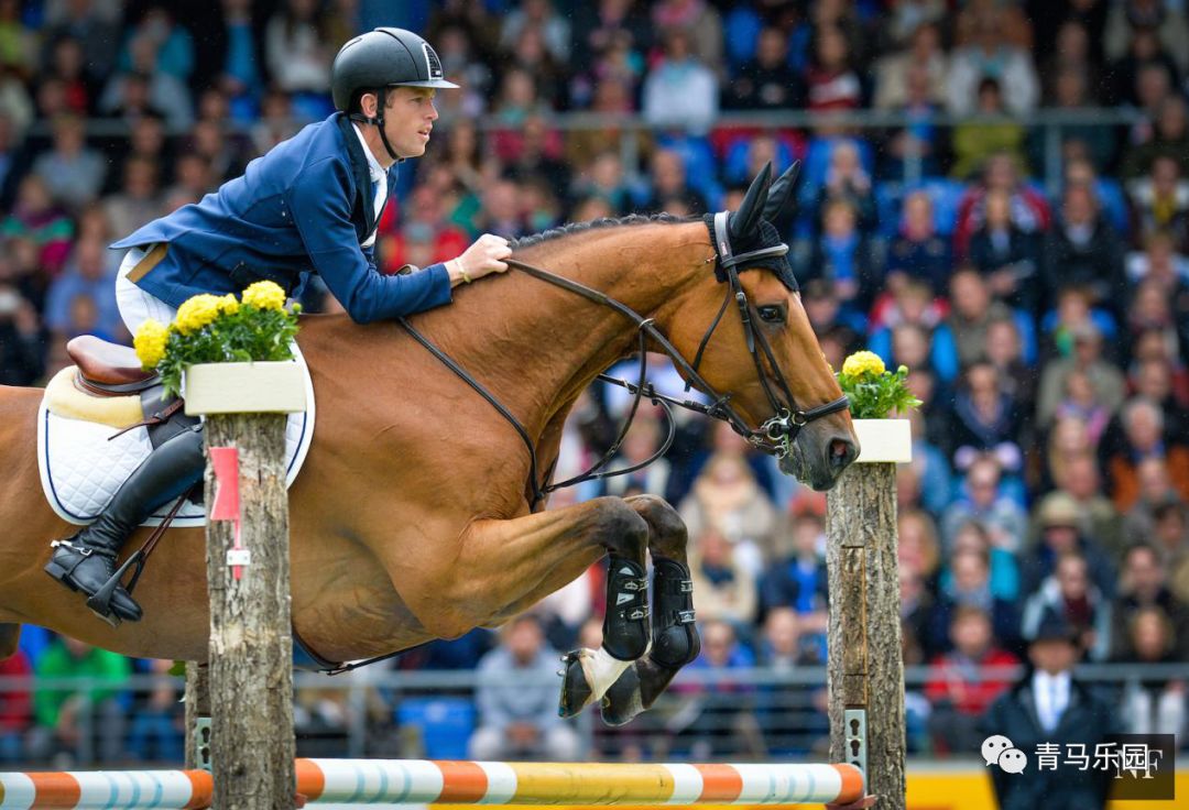 B体育体育娱乐-墨西哥游泳选手实力突出，夺得桂冠